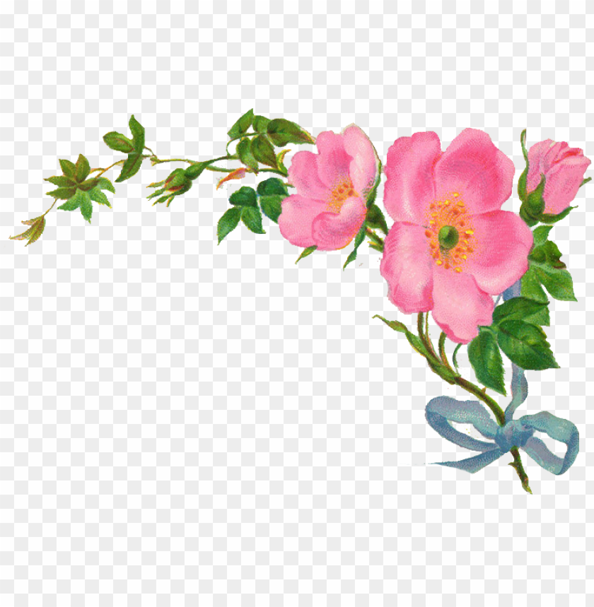 rose,floral border,retro,vintage border,tree,decorative,frames