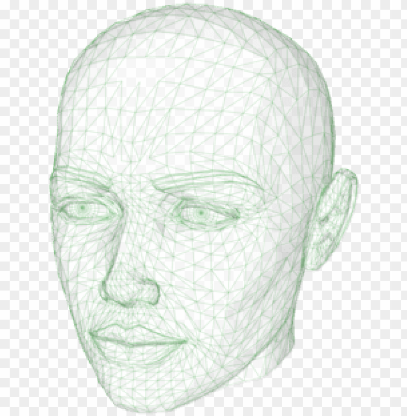 Human Head Face Forehead Drawing - Outline Of The Human Head PNG Transparent Background