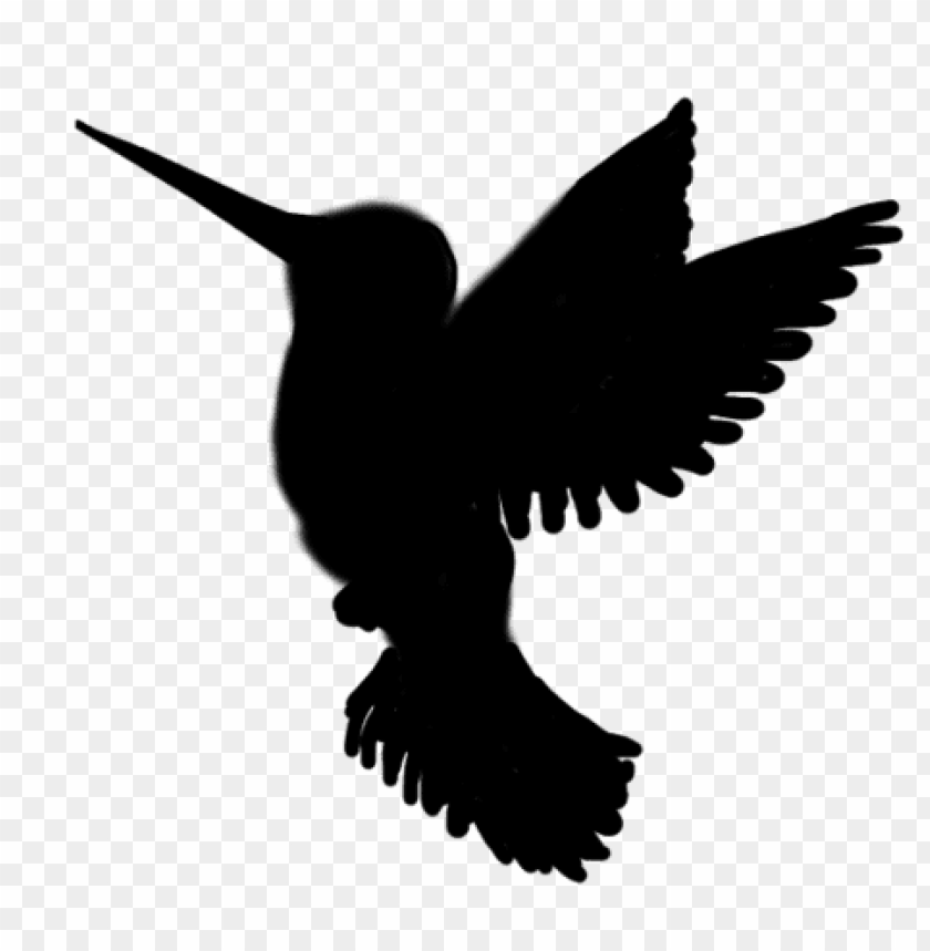 animals, birds, bird silhouettes, hummingbird silhouette, 