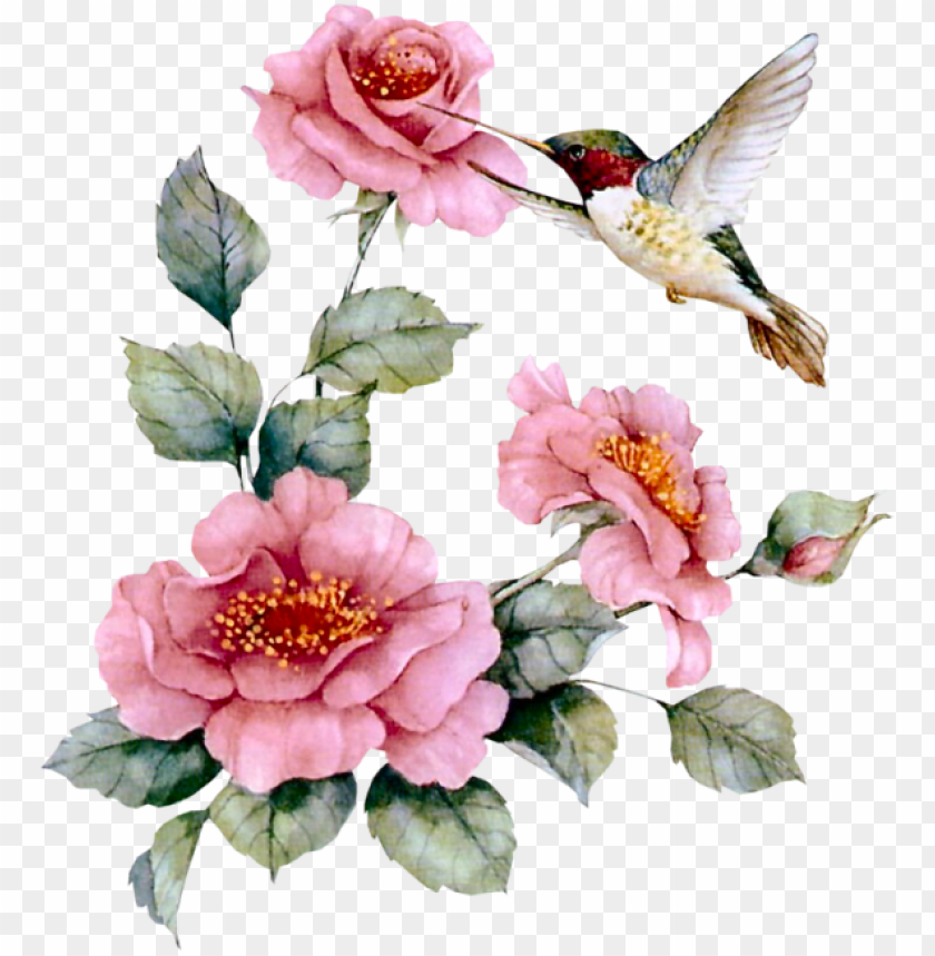 hummingbird, bouquet of roses, phoenix bird, twitter bird logo, big bird, necklace