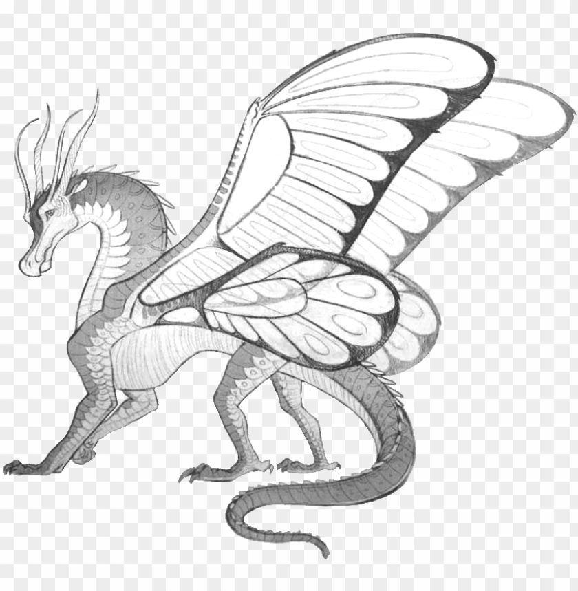 hybrids and special dragons wings of fire blue silkwi PNG transparent with Clear Background ID 184188