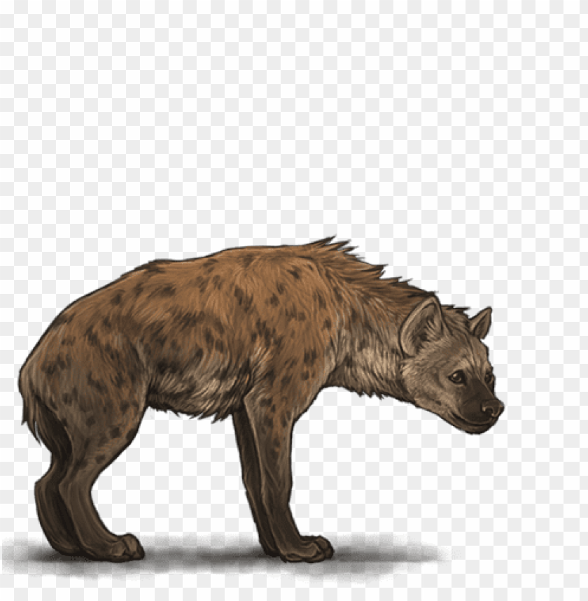 hyena png images background - Image ID 37808
