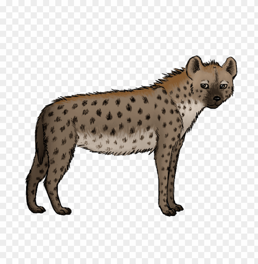 hyena art png png images background - Image ID 37764
