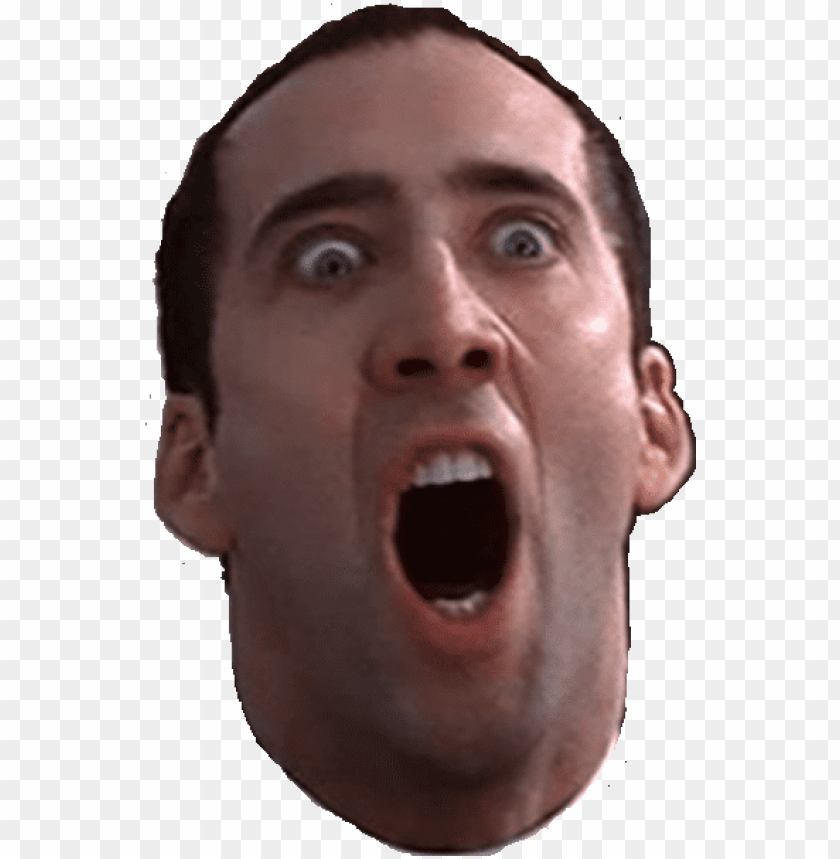 Icolas Cage Face Png Png Transparent Library - Nic Cage Face PNG Transparent With Clear Background ID 168835