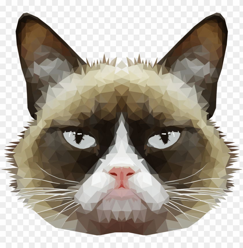ics for > transparent tumblr grumpy cat - grumpy cat transparent background PNG image with transparent background@toppng.com