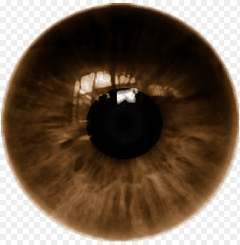 icsart eye lens PNG image with transparent background | TOPpng