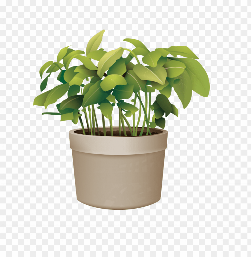 Ictures Of Potted Plants Best Of Flowerpot Plant Vector - Transparent Background Potted Plant PNG Image With Transparent Background