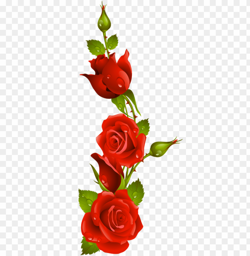 ifs con movimiento y brillo de amor - rosas rojas animadas PNG ...