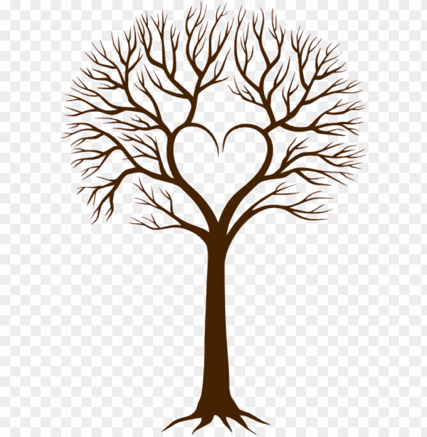 family tree clipart transparent