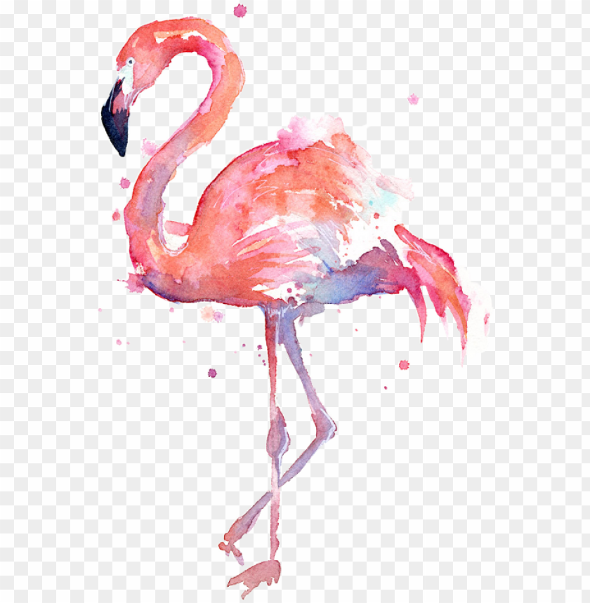 Image Library Download Flamingos Sticker Challenge Watercolor Flamingo Png Image With Transparent Background Toppng