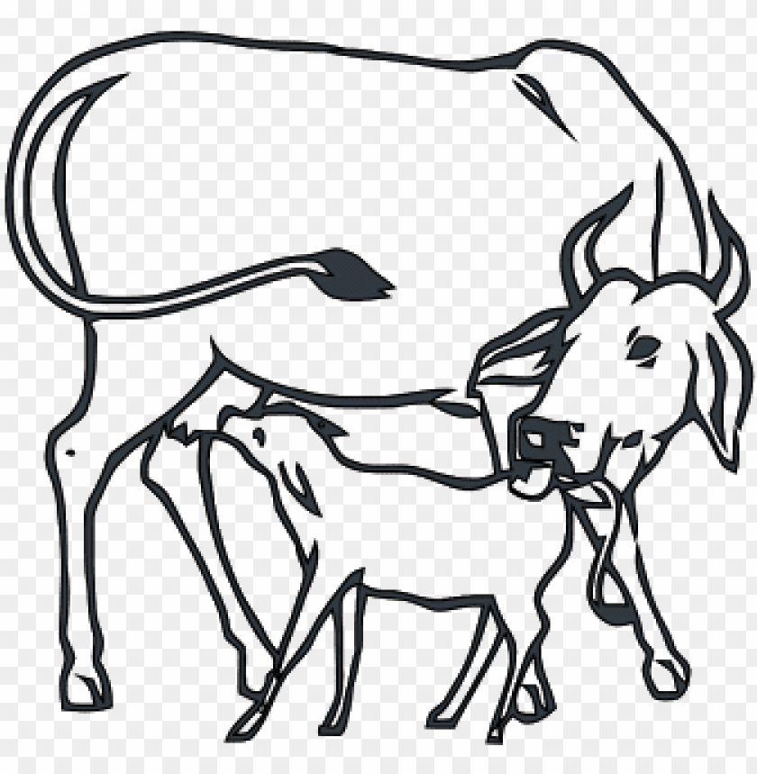 free PNG image result for dairy cow faces coloring pages indian - cow and calf drawi PNG image with transparent background PNG images transparent