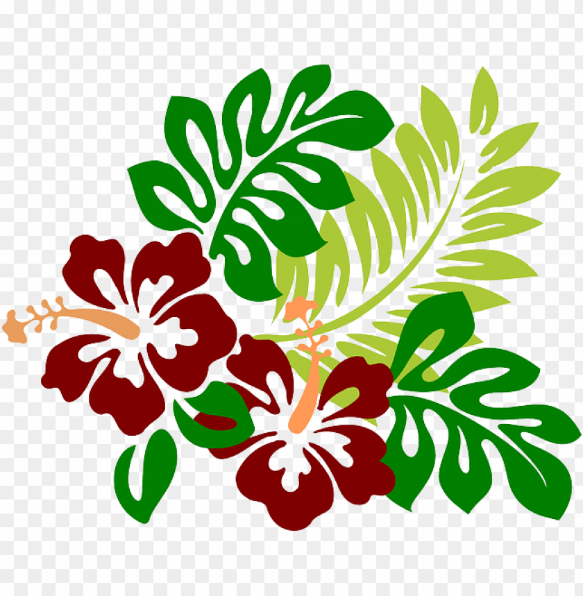 Imagen Gratis En Pixabay Hibiscus Clip Art Png Image With Transparent Background Toppng