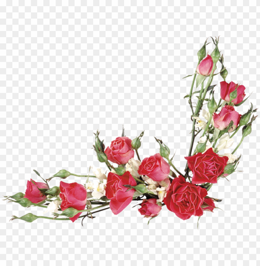 imagens em png de buqu s e cestas de flores red rose border watercolor hd  PNG image with transparent background | TOPpng