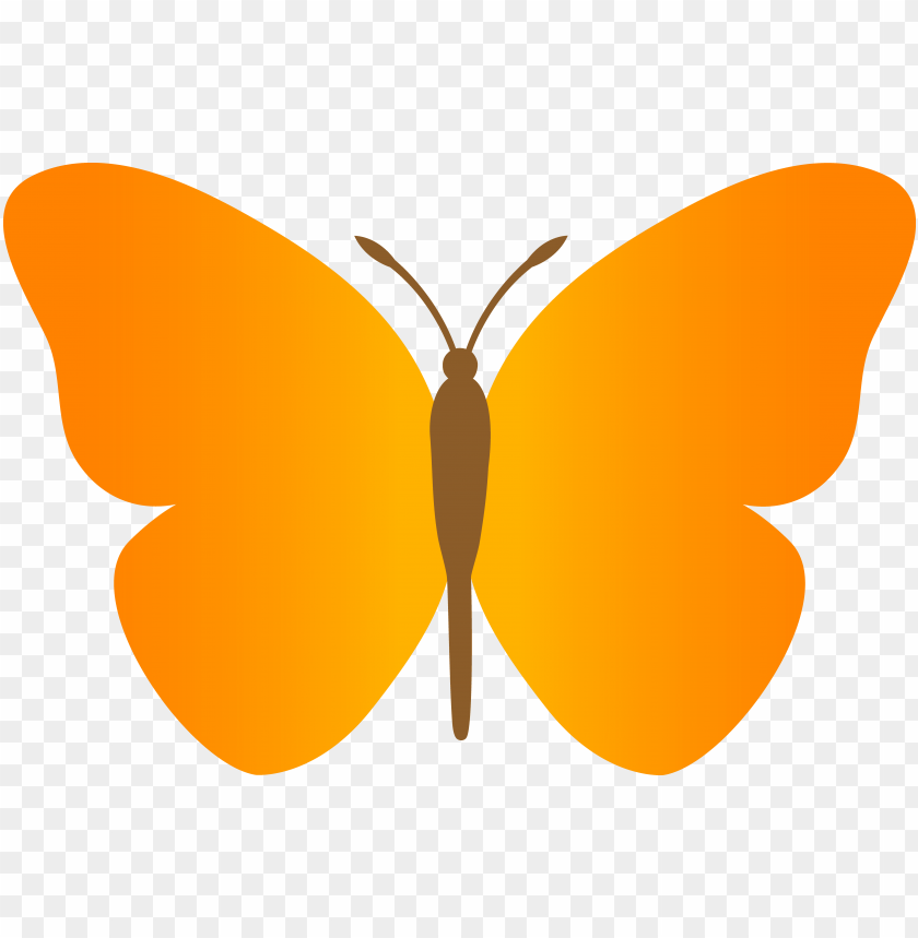 orange butterfly cartoon