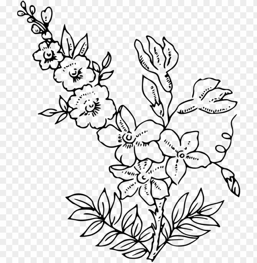 abstract, lines, flower, people outline, pharmacy, coloring book, plants