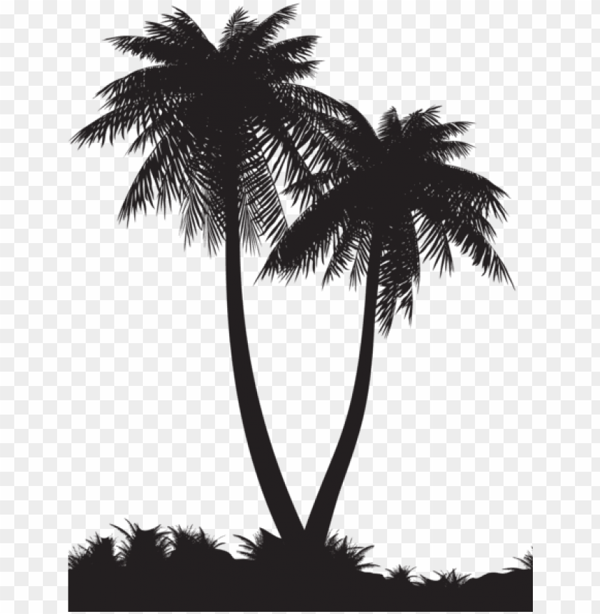 set, illustration, trees, isolated, palm tree, design, flower