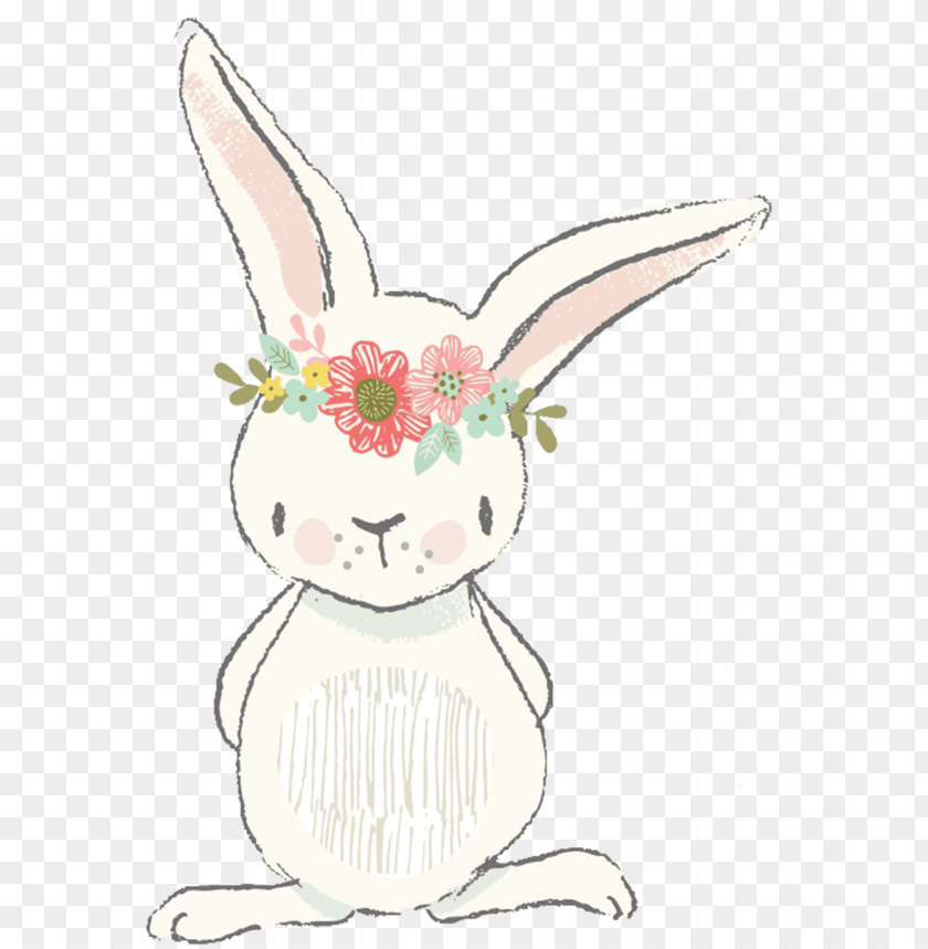 set, illustration, rabbit, food, watercolor flower, graphic, animal