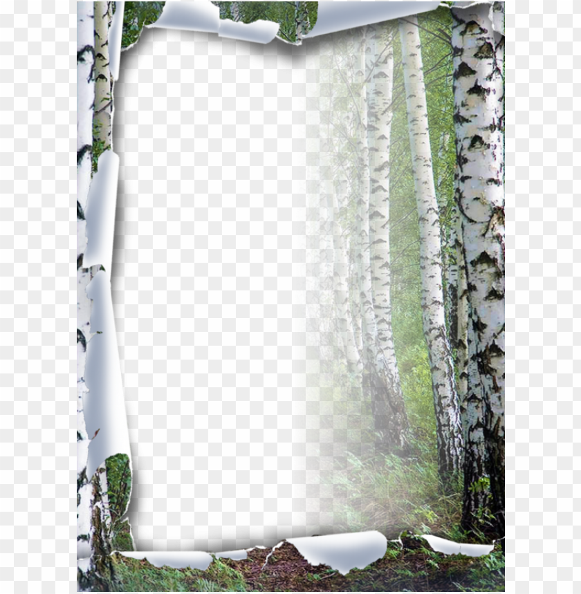 in by kim reed on scrap - frames tubes png zezete2 centerblog net rub cadres PNG image with transparent background@toppng.com