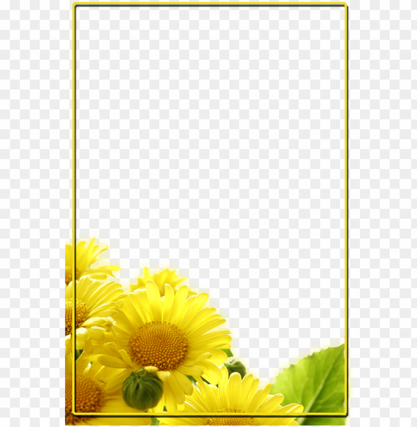 set, light, flower, modern, frame, yellow flower, spring