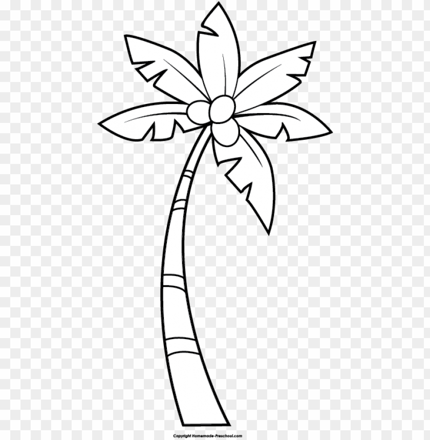 Palm Tree Clip Art Outline Rectangle Circle