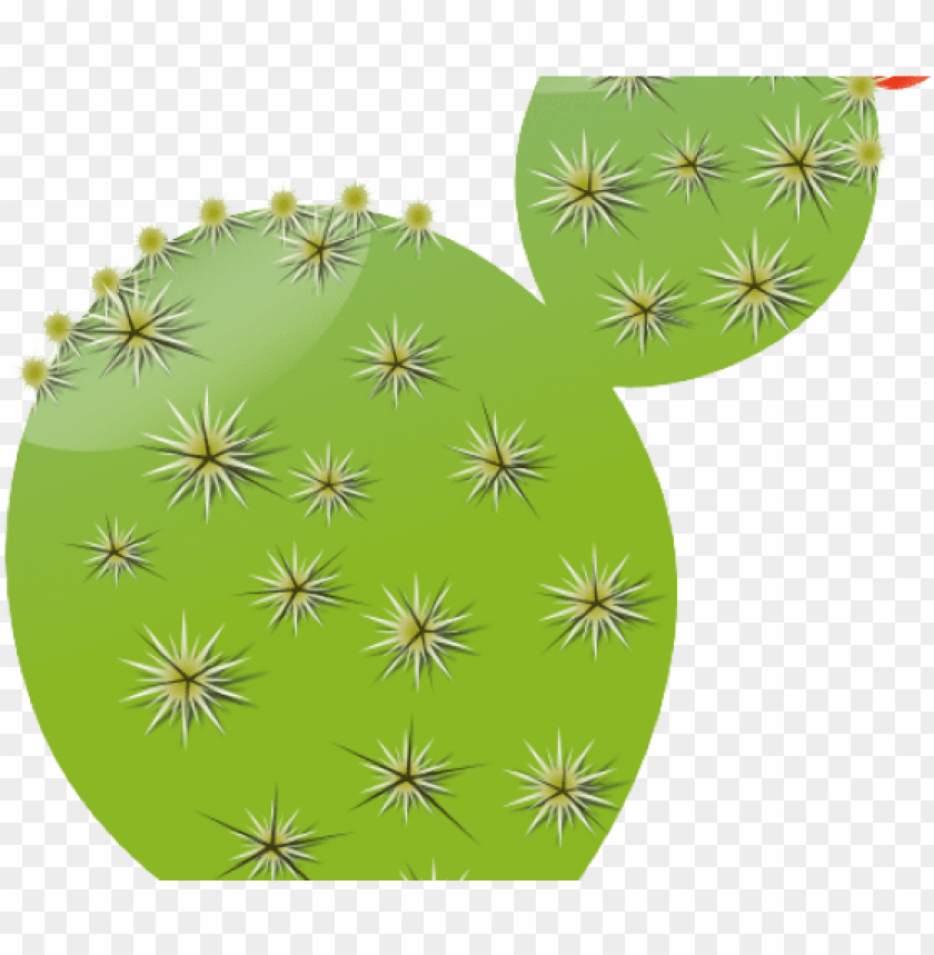 In The Desert Clipart Cactus Cactus Clip Art Png Image With Transparent Background Toppng