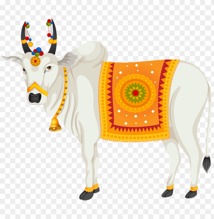 india holy cow transparent clipart png photo - 53542