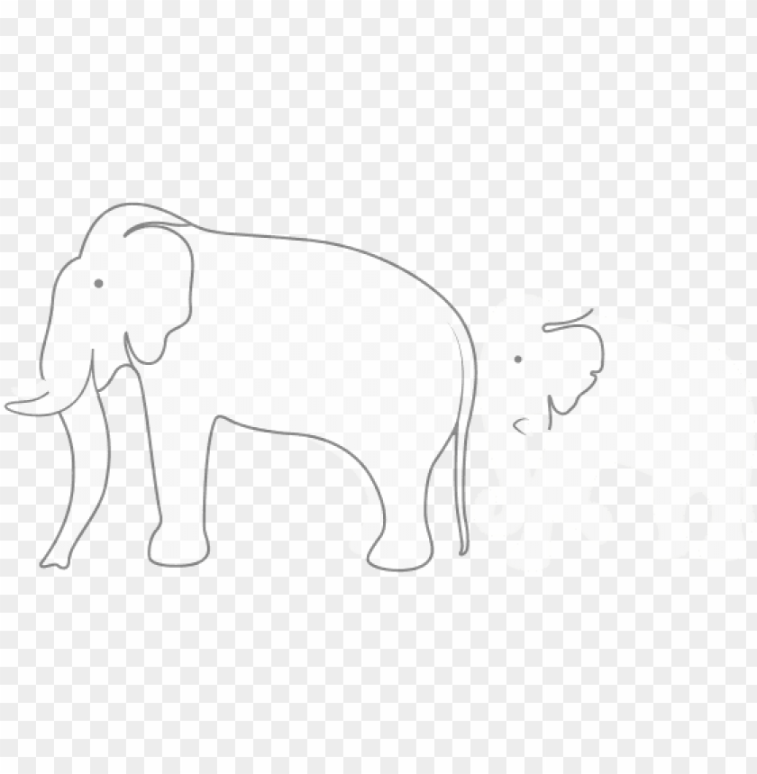 indian, elephant, indian feather, elephant silhouette, indian wedding, baby elephant