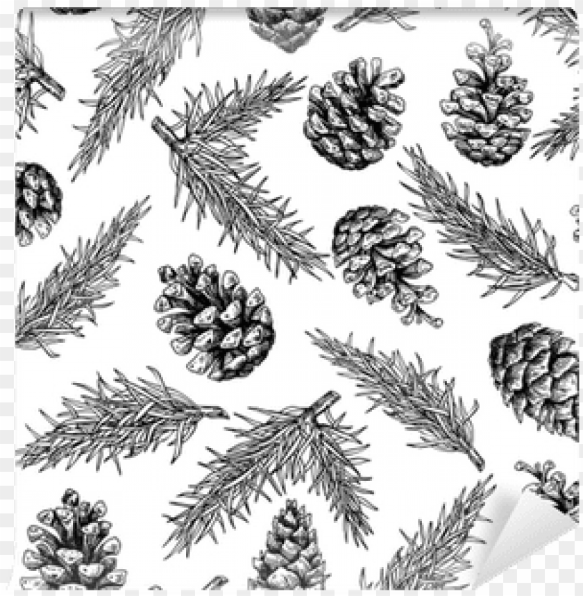 tree, cone, abstract, conifer tree, pattern, line pattern, trees