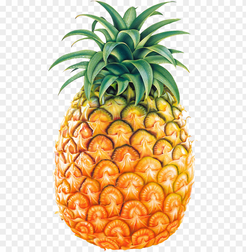 Ineapple Fruit Png Image Pineapple Images PNG Image With Transparent Background