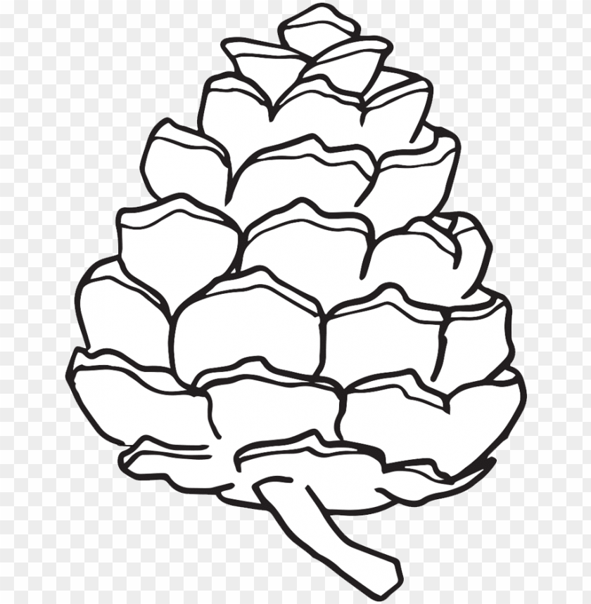 free PNG inecone cliparts cliparts zone pine cone - simple pine cone drawi PNG image with transparent background PNG images transparent