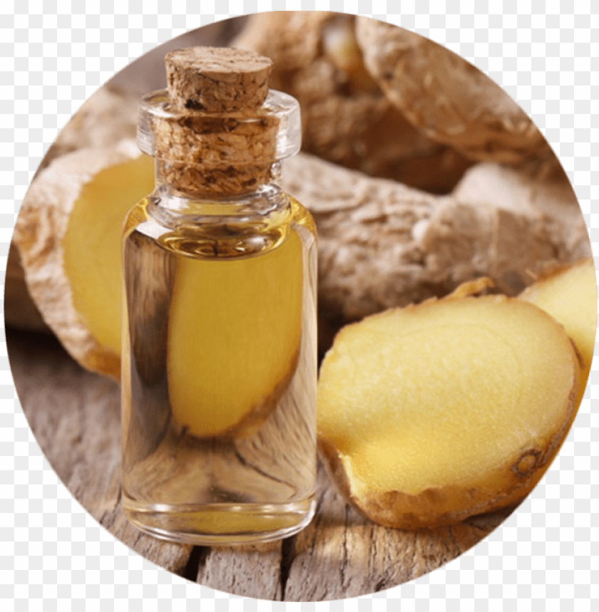 free PNG inger oil - ginger essential oil PNG image with transparent background PNG images transparent