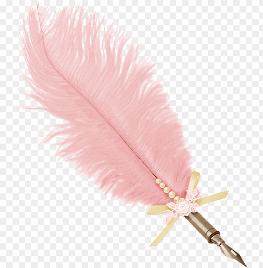 ink feathers photo pink feather pen PNG transparent with Clear Background ID 277710