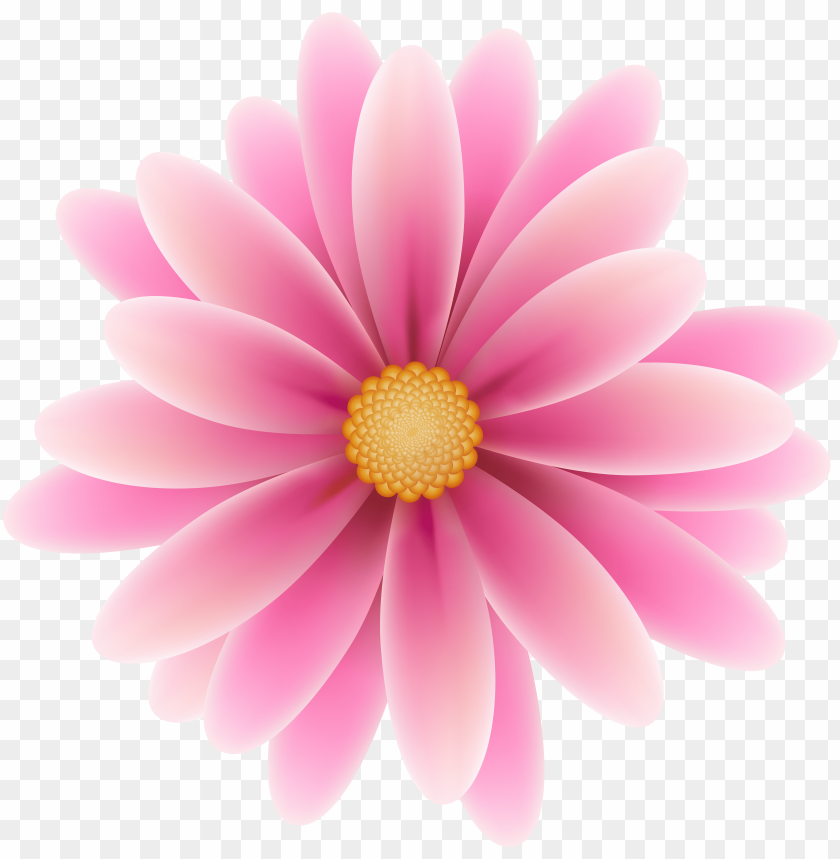 Ink Flower Clip Art Image Pink Flower Clipart PNG Image With Transparent  Background | TOPpng