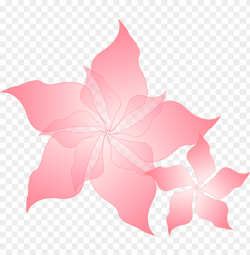 pink floral design png