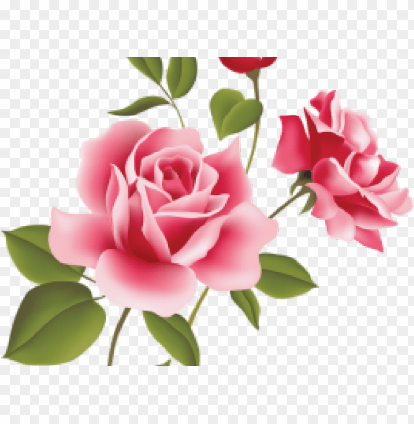 Ink Rose Clipart File Rose Flowers Vector Png Image With
