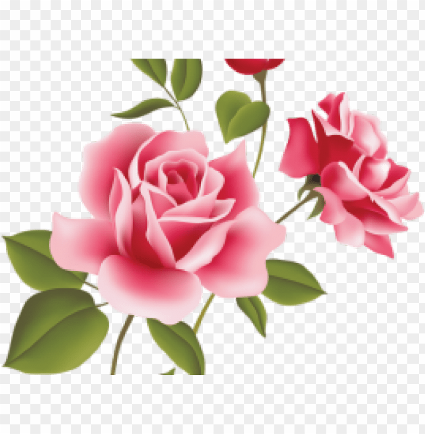 Ink Rose Clipart File - Rose Flowers Vector PNG Transparent Background