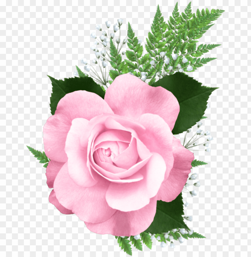 ink rose png transparent picture pink roses png transparent PNG transparent with Clear Background ID 206407