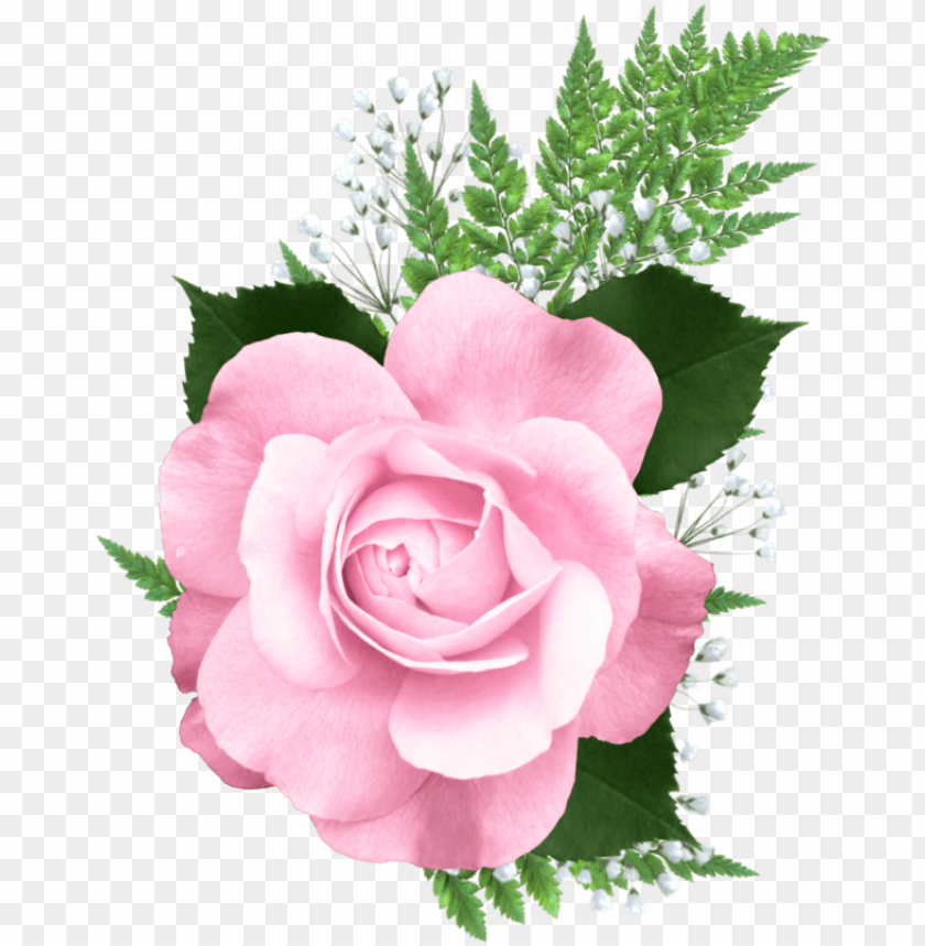 Ink Rose Png Transparent Picture Pink Roses Png Transparent Png Image With Transparent Background Toppng