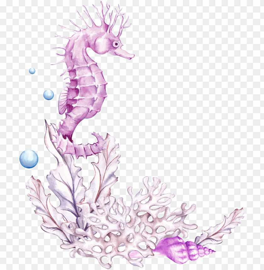 ink seahorse cartoon transparent - transparent background seahorse PNG  image with transparent background | TOPpng