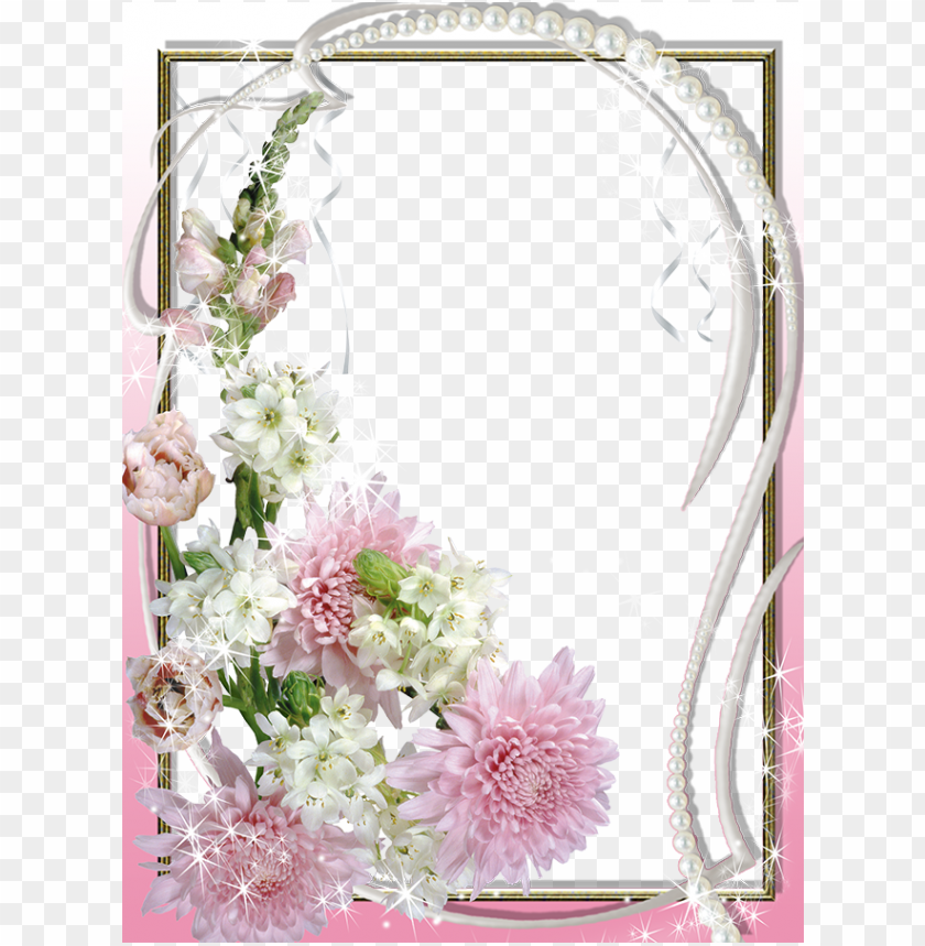 isolated, border, floral, frames, pharmacy, ornament, flowers