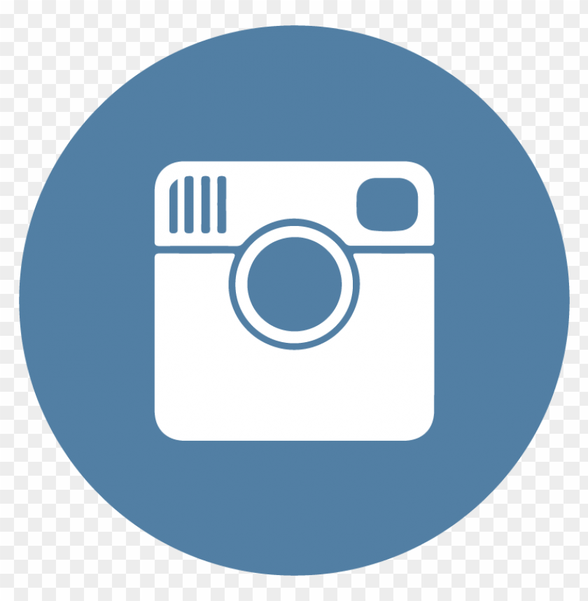  instagram flat icon circle vector - 462210