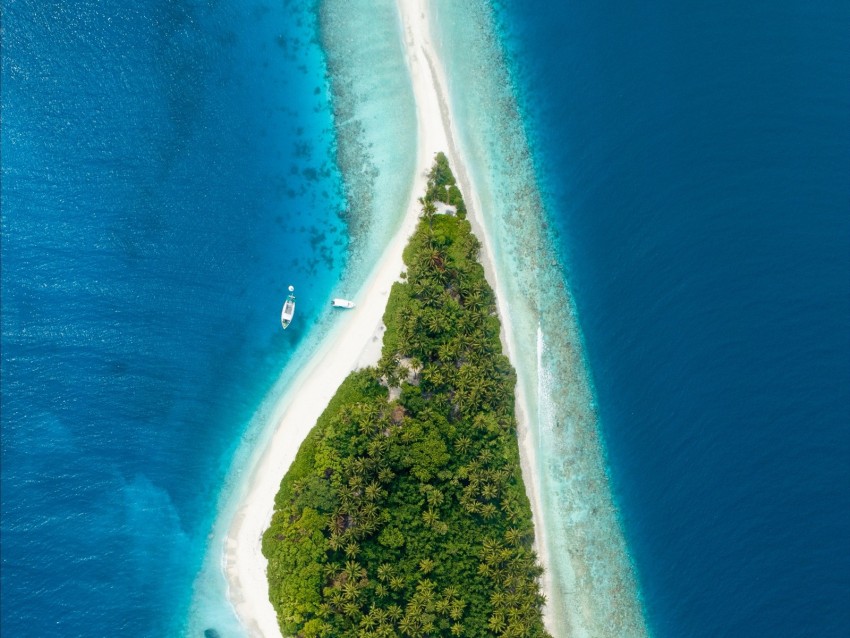 island, aerial view, ocean, maldives, tropics