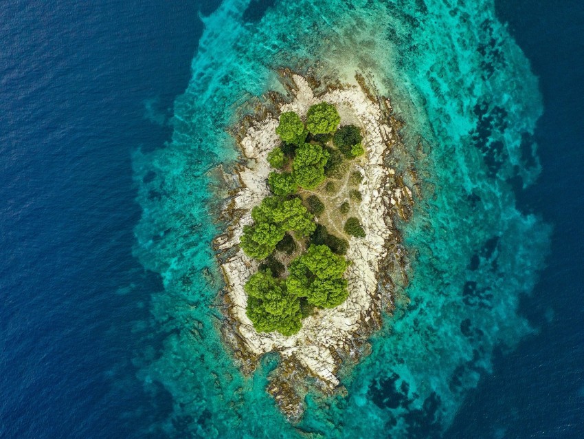 island, ocean, aerial view, water, trees