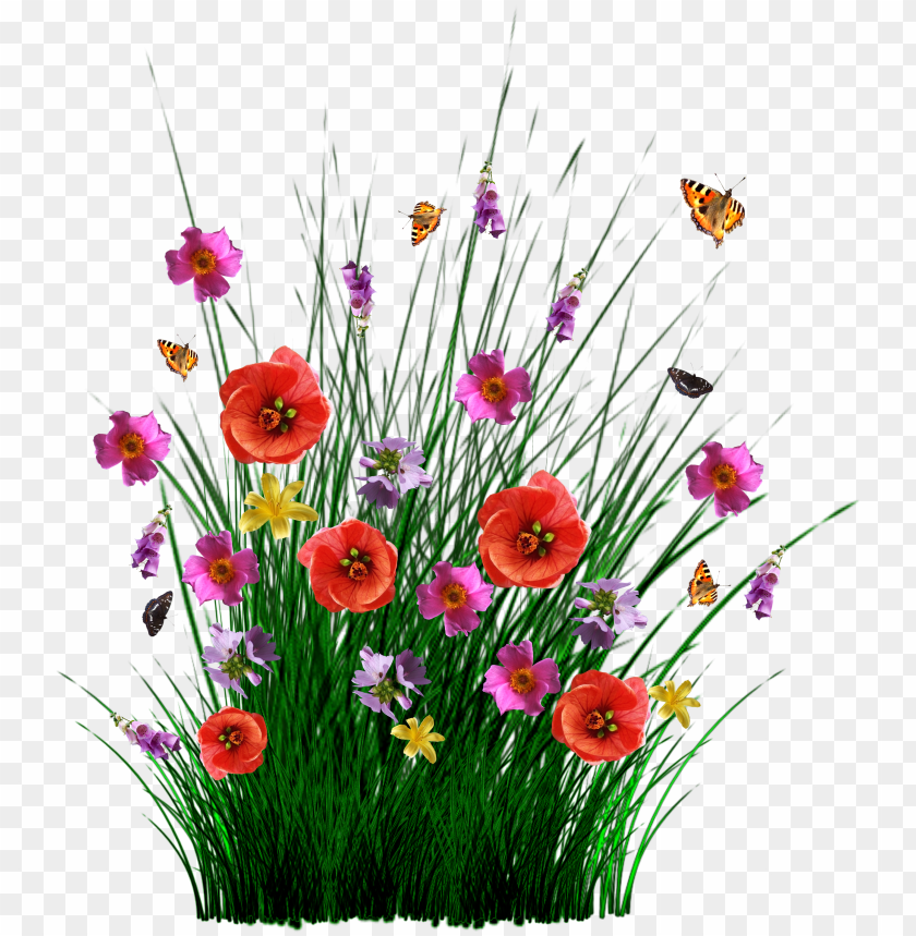 isolated spring flowers grass meadow pasto con flores PNG transparent with Clear Background ID 183402