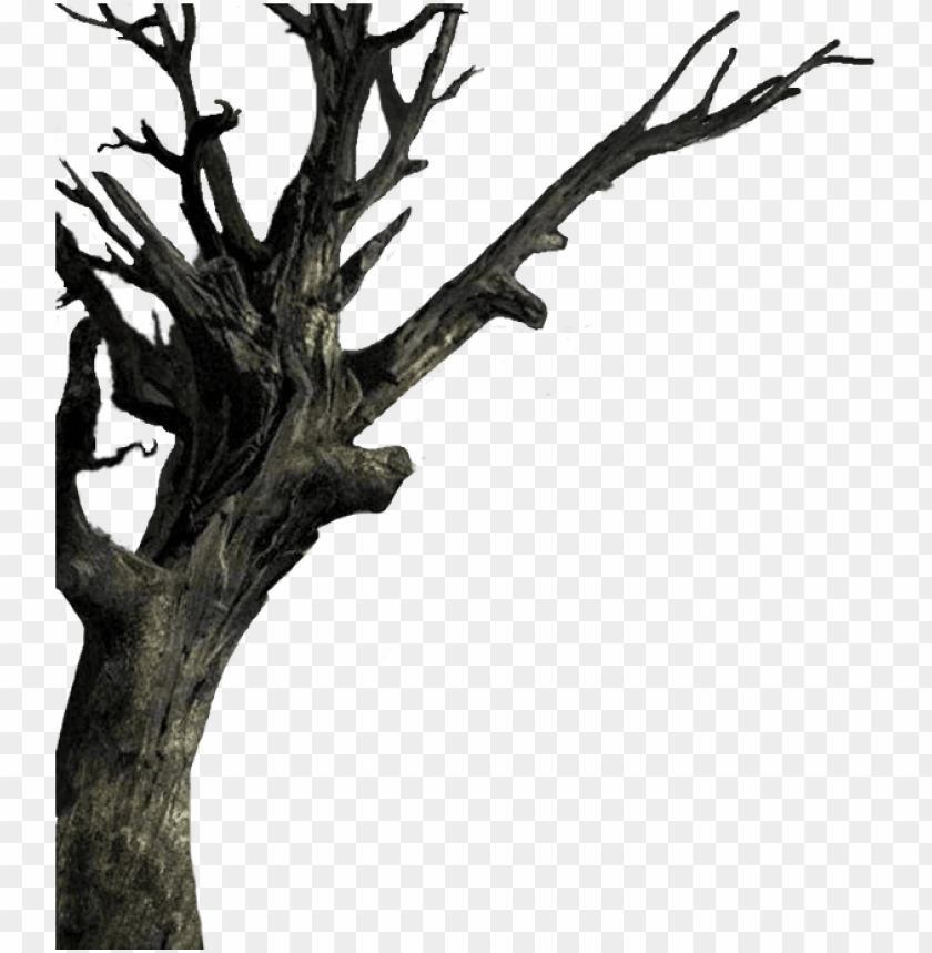 Isolated The Tree Haunted Trees Transparent Background Png Image With Transparent Background Toppng