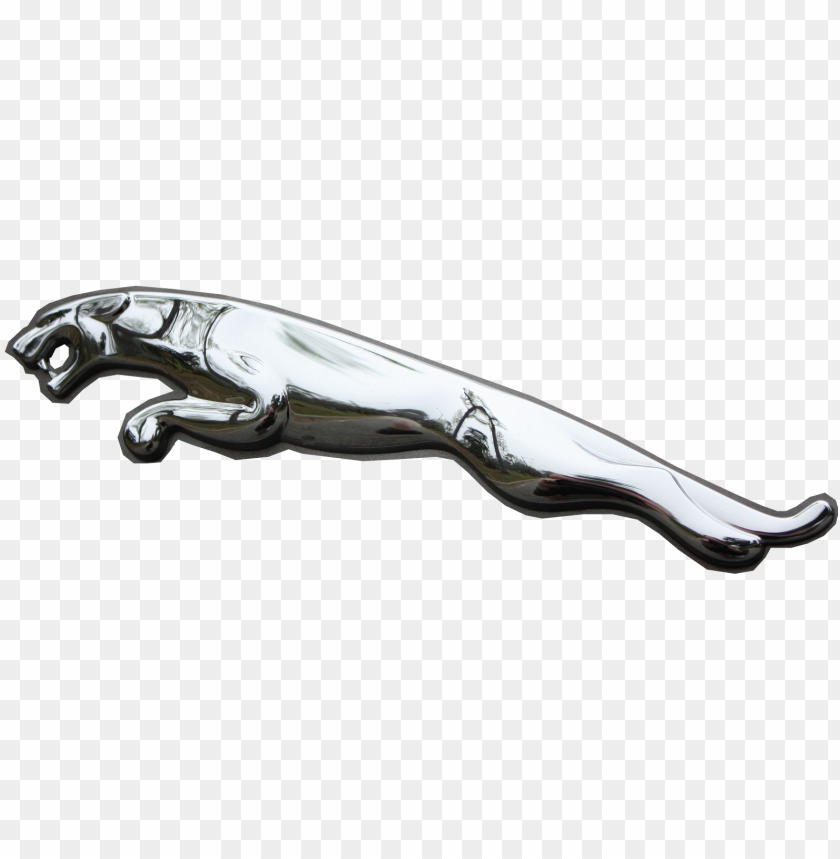 Jaguar Logo Stock Illustration - Download Image Now - Animal, Animal Body  Part, Animal Head - iStock