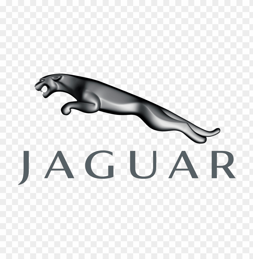 Free Download HD PNG Jaguar Leaping Cat Png Png Free PNG Images ID 
