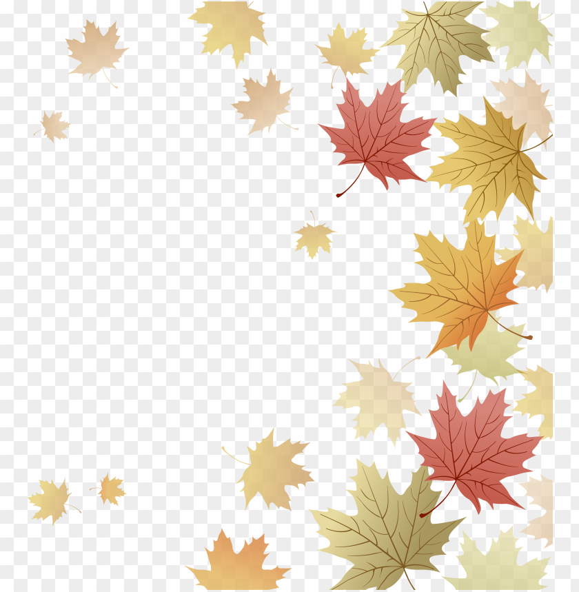 free PNG japanese maple red maple maple leaf autumn - fall leaves border transparent free PNG image with transparent background PNG images transparent