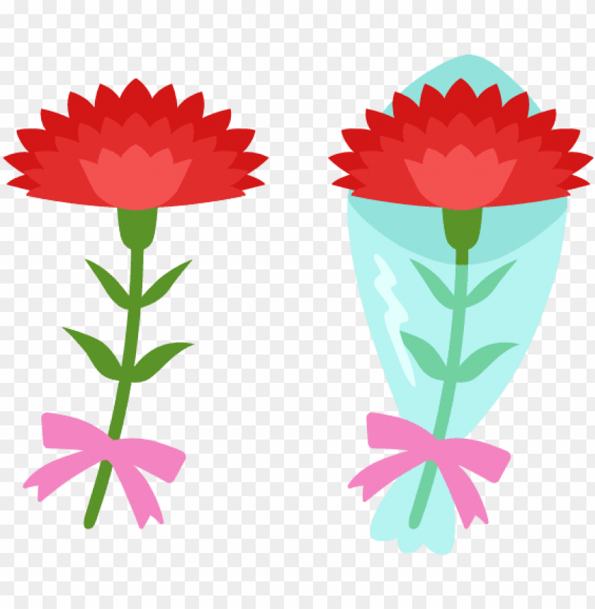 japanese mother's day red carnation free  and vector - carnation free vector PNG image with transparent background@toppng.com