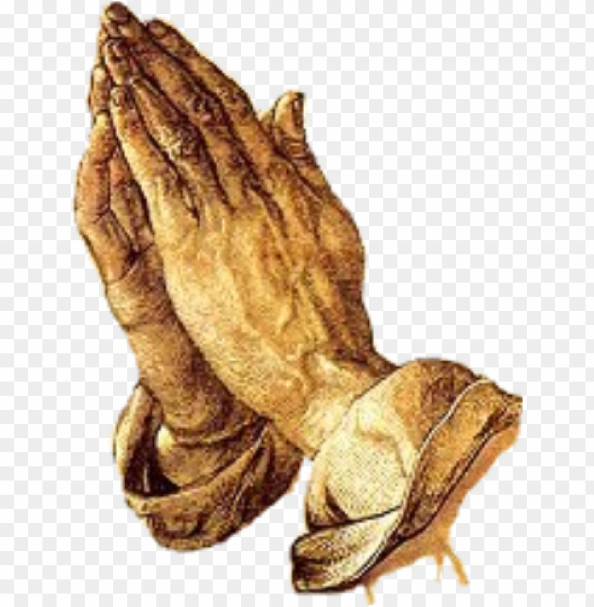 jesus hands png - davinci praying hands PNG image with transparent background@toppng.com